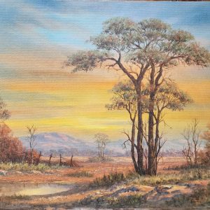 Sunset over the Bushveld