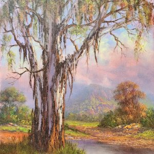 A blue gum tree