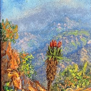 Valley with aloes